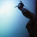 Domino Loop - Performance and art Festival - Berlin 2009